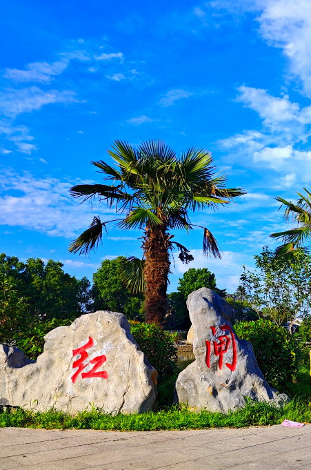 沈丘县中等职业教育在校学生数人