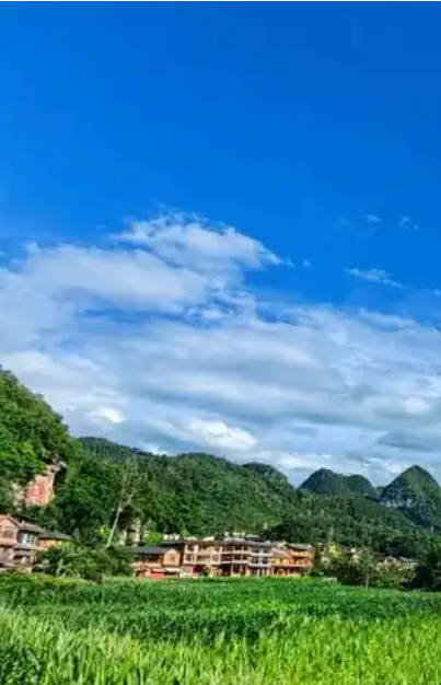 广南县第一产业增加值(亿元)