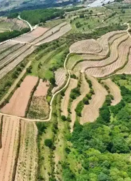 清水县常住人口数(万人)
