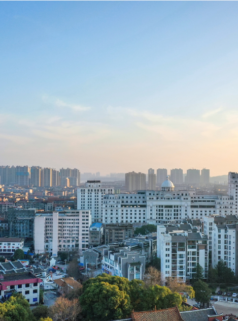 仙桃市油料产量(吨)