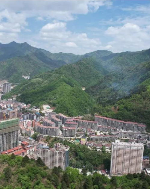柞水县乡村从业人员数人
