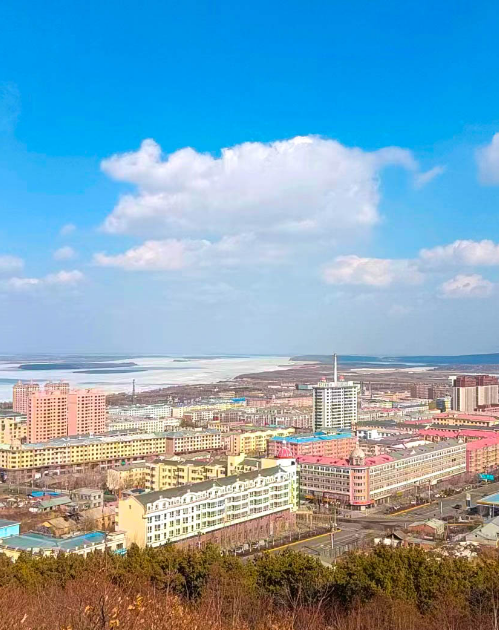 抚远市常住人口数(万人)