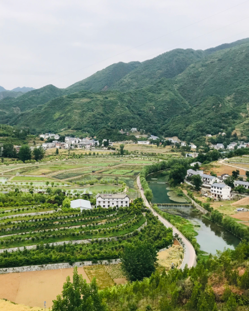 山阳县中学在校学生数(人)