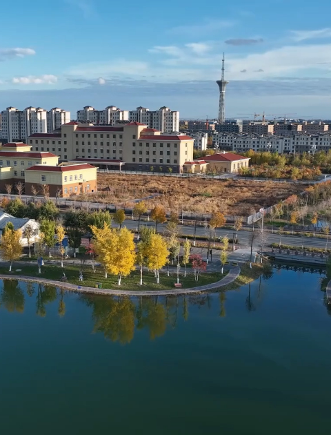 胡楊河市統(tǒng)計(jì)年鑒