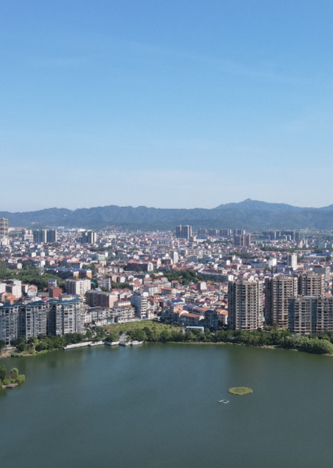 临湘市第二产业增加值(亿元)