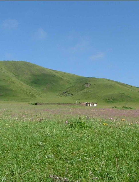 若尔盖县常住人口数(万人)