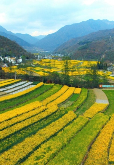 平武县房地产开发投资亿元