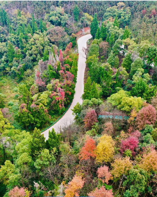 上高县房地产开发投资亿元