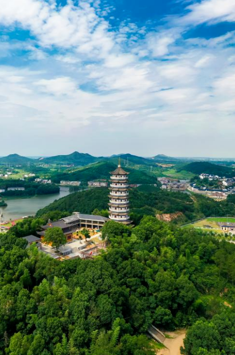 瑞昌市卫生技术人员数