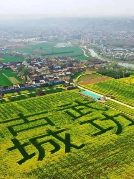 武功县肉量总产量吨