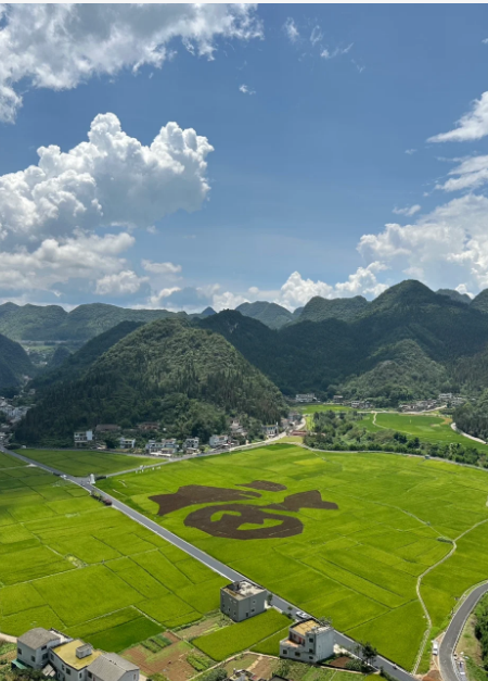 兴义市房地产开发投资亿元