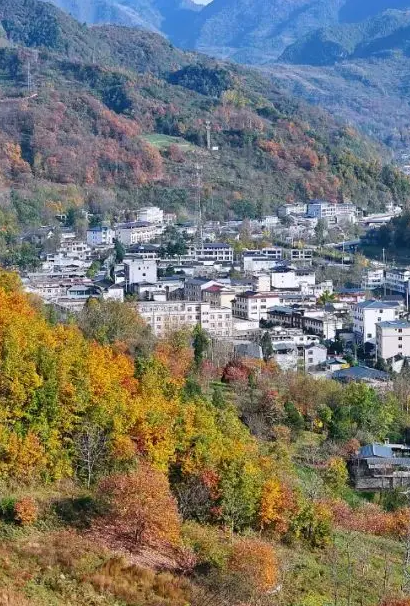 康县常住人口数(万人)