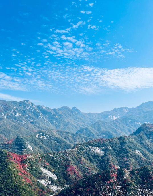 洛宁县房地产开发投资亿元