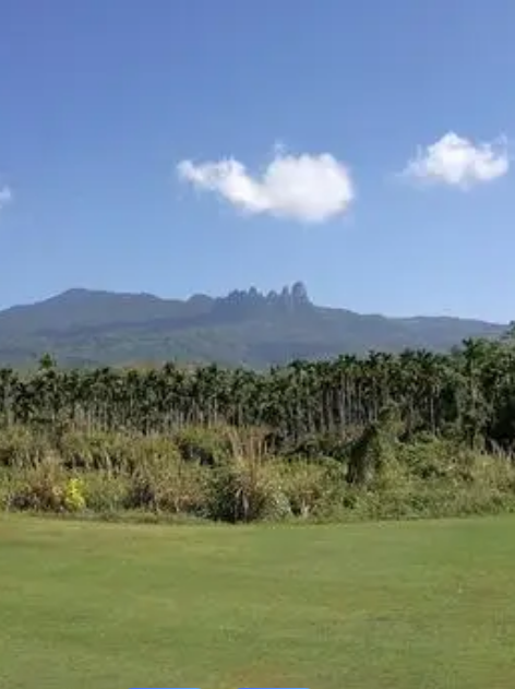 国营新星农场工业增加值(万元)