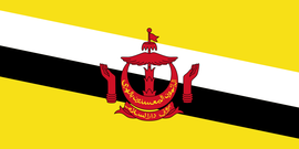 文莱达鲁萨兰国人口（亿人）