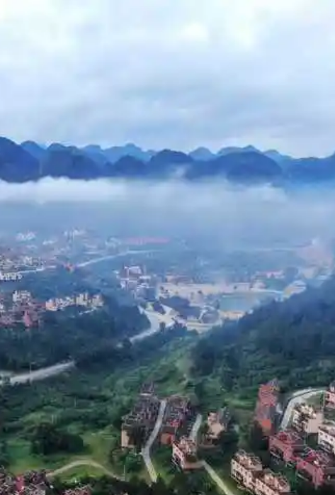 南丹县出生人口人
